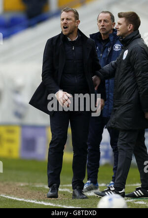 Birmingham City v Fulham - Sky scommessa campionato - Sant'Andrea Foto Stock