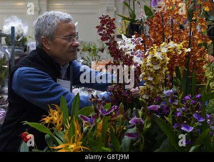 RHS London molla stravaganza vegetale Foto Stock