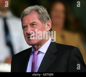 Calcio - fa Barclays Premiership - Portsmouth v Birmingham City - Fratton Park. Milan Mandaric, presidente di Portsmouth Foto Stock