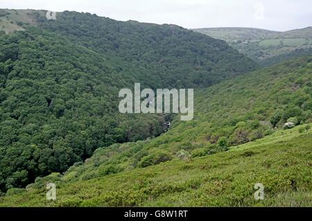 Il fiume Dart che scorre attraverso la valle di dart nel parco nazionale di Dartmoor. Foto Stock