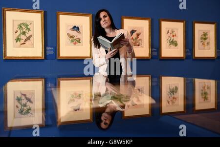 Maria Merian la mostra di farfalle Foto Stock