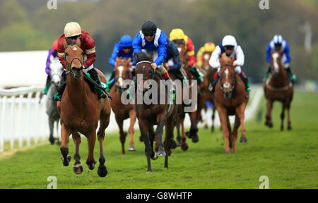 Sandown Park Gare - Bet365 classico Giorno di prova Foto Stock