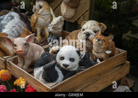 Una scatola di plastica gli animali in vendita in un mercato di Amsterdam Foto Stock