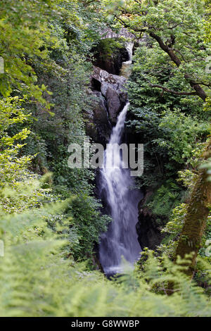 Aira Force, una cascata nel Lake District inglese, nella parrocchia di Matterdale, nella contea di Cumbria, Regno Unito Foto Stock