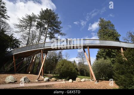 Il Westonbirt Arboretum treetop marciapiede Foto Stock