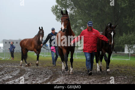 I cavalli sono riportati dal terreno di esposizione dopo essere stati allenati durante il primo giorno del Royal Windsor Horse Show al Castello di Windsor nel Berkshire, in quanto la pioggia torrenziale ha portato alla cancellazione di una delle principali celebrazioni che hanno segnato il 90° compleanno della Regina. Foto Stock