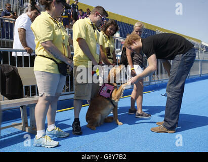 Il principe Harry incontra David Romero (seconda a sinistra) e il suo cane Jasmine mentre incontra i membri del pubblico e gli atleti che prendono parte ai Giochi Invictus 2016, che iniziano la domenica, al complesso ESPN Wide World of Sports di Orlando, Florida. Foto Stock