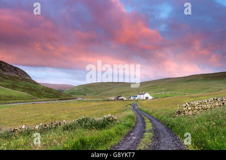 Fattoria Widdybank, Superiore Teesdale, County Durham Regno Unito. Giovedì 30 Giugno 2016. Regno Unito Meteo. È stato un fresco ma luminoso per iniziare la giornata nel North Pennines. La previsione è per la maggior parte un giorno asciutto con le magie di sole, ma di sera i focolai di pioggia sono propagarsi a est. Credito: David Forster/Alamy Live News Foto Stock