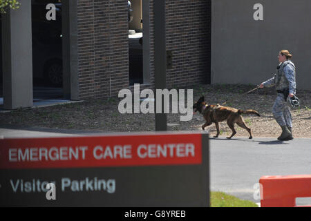 Camp Springs, MD, Stati Uniti d'America. Il 30 giugno, 2016. Militare Unità canina patrol al di fuori del Malcolm crescere Medical Center presso il militare degli Stati Uniti di base comune Andrews nel Maryland in seguito a una relazione di un tiratore attivo al centro, situato sul vastissimo campus militare che è casa di Air Force One. La relazione è stata evidentemente scatenato da attività durante un drill pianificata destinato a preparare per un tiratore. © Jay Mallin/ZUMA filo/Alamy Live News Foto Stock