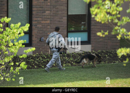 Camp Springs, MD, Stati Uniti d'America. Il 30 giugno, 2016. Militare Unità canina patrol al di fuori del Malcolm crescere Medical Center presso il militare degli Stati Uniti di base comune Andrews nel Maryland in seguito a una relazione di un tiratore attivo al centro, situato sul vastissimo campus militare che è casa di Air Force One. La relazione è stata evidentemente scatenato da attività durante un drill pianificata destinato a preparare per un tiratore. © Jay Mallin/ZUMA filo/Alamy Live News Foto Stock