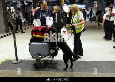 Influenza aviaria salute Foto Stock