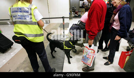 L'ufficiale doganale Emily Tracey lascia che Jasper, un Labrador specializzato, stracci il bagaglio dei passeggeri che arrivano dalla Turchia per carne e pollame nel tentativo di fermare l'ingresso di influenza aviaria nel Regno Unito a Heathrow, martedì 18 ottobre 2005. Vedere PA storia SALUTE Birdflu. PREMERE ASSOCIAZIONE foto. Il credito fotografico dovrebbe essere: Tim Ockenden PA . Foto Stock