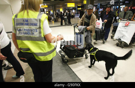 L'ufficiale doganale Emily Tracey lascia che Jasper, un Labrador specializzato, stracci il bagaglio dei passeggeri che arrivano dalla Turchia per carne e pollame nel tentativo di fermare l'ingresso di influenza aviaria nel Regno Unito a Heathrow, martedì 18 ottobre 2005. Vedere PA storia SALUTE Birdflu. PREMERE ASSOCIAZIONE foto. Il credito fotografico dovrebbe essere: Tim Ockenden PA . Foto Stock