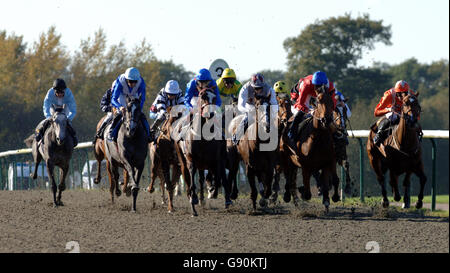 Cavalli e scimini competono nella EBF Maiden Fillies Stakes (Div 11) all'ippodromo di Lingfield, Surrey, giovedì 27 ottobre 2005. PREMERE ASSOCIAZIONE foto. Il credito fotografico dovrebbe essere: Sean Dempsey/PA. Foto Stock