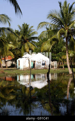 Una casa in rovina si trova tra le palme di Kinniya, nel distretto di Trincomalee dello Sri Lanka orientale, sabato 3 dicembre 2005. Lo tsunami ha depredato la regione costiera lasciando i sopravvissuti senza tetto. La qualità e il tasso di ricostruzione nello Sri Lanka dopo lo tsunami sono stati molto più bassi del previsto nonostante gli ampi fondi concessi dalle agenzie di aiuto. Vedi PA Story DEATH Quake Reconstruction. PREMERE ASSOCIAZIONE foto. Il credito fotografico dovrebbe essere: Chris Young/PA Foto Stock