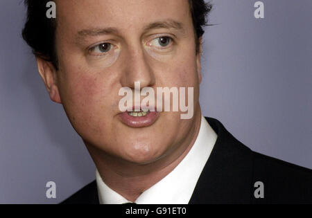 Politica Cameron Foto Stock