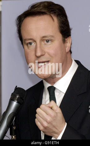 Politica Cameron Foto Stock