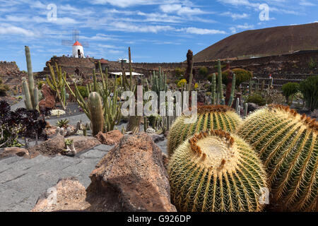 Cesar Manrique Jardin de Cactus Guatzia Lanzarote isole Canarie Foto Stock