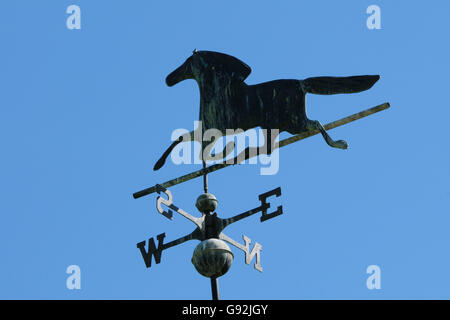 Indicatore del vento, Basso Reno, Nord Reno-Westfalia, Germania Foto Stock