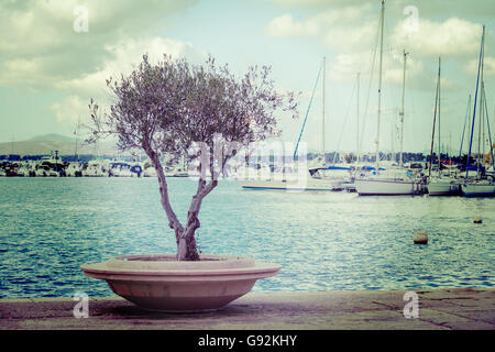 Albero dal dock in tono vitnage Foto Stock