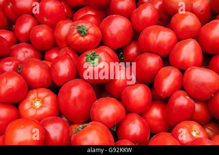 Gruppo di pomodoro rosso Texture Foto Stock