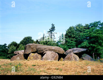 Antica pietra tomba come un grande dolmen in Drenthe Olanda. Esso è chiamato in olandese un Hunebed Foto Stock