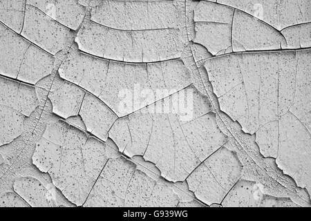 Vecchio incrinato vernice bianca su un muro di cemento. Foto Stock