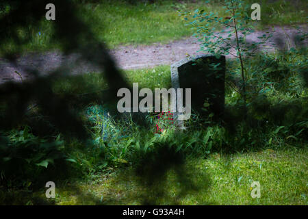 Unico grave cantiere di pietra Foto Stock