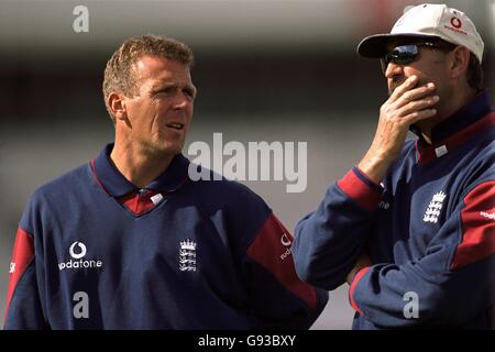 Cricket - quinta prova Cornhill - Inghilterra v Sud Africa - Headingley - Inghilterra reti Foto Stock