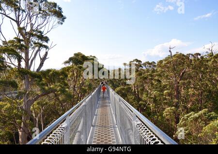 La Danimarca,WA,Australia-October 1,2014:Tree Top Walk prospettiva con i turisti nella Valle dei Giganti in Danimarca, Western Australia. Foto Stock
