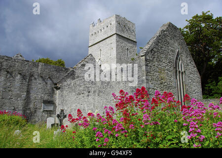 Abbazia Muckross, Parco nazionale di Killarney, Killarney, County Kerry, Irlanda Foto Stock