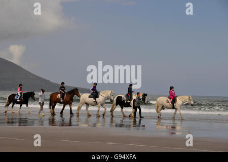 Piloti in spiaggia, Rossbeigh Beach, Rossbeigh, vicino Glenbeigh, Iveragh Peninsula, nella contea di Kerry, Irlanda / Rossbehy Foto Stock