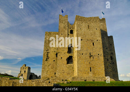 Castello di Trim, rivestimento, nella contea di Meath, Irlanda Foto Stock