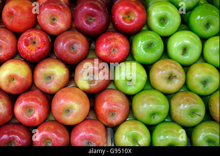 Verde e Rosso e mele al fruttivendolo Foto Stock