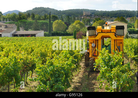 La raccolta delle uve in modo meccanico in Francia Foto Stock