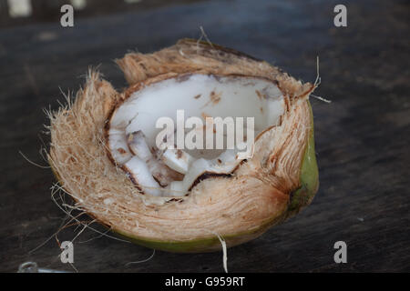 Verde fresco noce di cocco diviso a metà mostra carne bianca Foto Stock