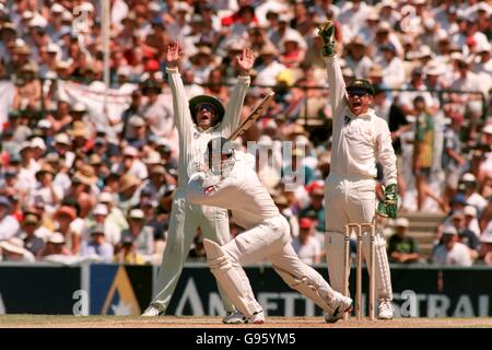 Cricket: Inghilterra v Australia: 5° prova Sydney Cricket Ground, 2° giorno Foto Stock