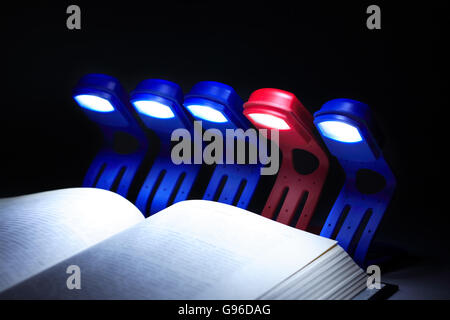Il concetto di istruzione. Pochi incandescente lampade elettriche in una fila contro il libro aperto Foto Stock