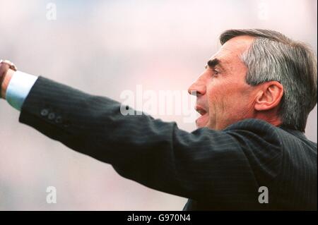 Calcio Italiano - Serie A - Vicenza v Perugia Foto Stock