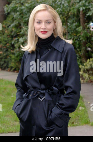Sharon Stone a una fotocellula in vista della prima del suo nuovo film, 'Basic Instinct II', al Four Season's Hotel, nel centro di Londra, mercoledì 15 marzo 2006. PREMERE ASSOCIAZIONE foto. Il credito fotografico dovrebbe essere: Steve Parsons/PA. Foto Stock