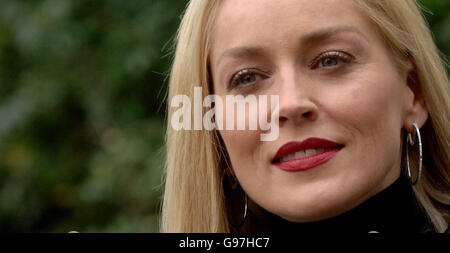 Pietra SHOWBIZ Foto Stock