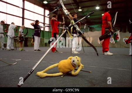 Tiro con l'Arco - National Indoor Championships Foto Stock