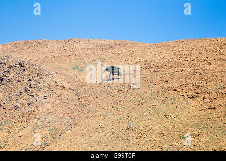 Albero da solo sulla cima della montagna Sandras, Turchia Foto Stock