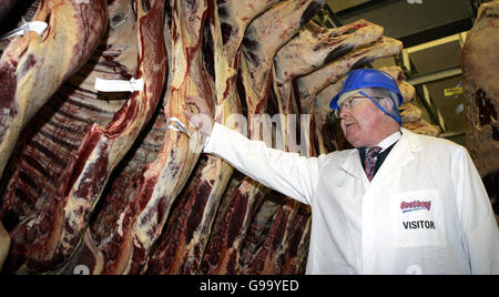 Il ministro scozzese per l'ambiente e lo sviluppo rurale Ross Finnie MSP considera la carne bovina preparata presso lo stabilimento di Scotbeef a Bridge of Allan, dove ha contribuito a caricare la prima partita di carne bovina scozzese in Europa il giorno della riapertura ufficiale del commercio all'esportazione nel continente. Foto Stock