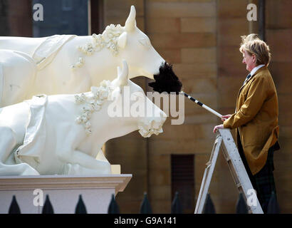 I "tre grazers", svelati dalla National Gallery of Scotland, vengono lucidati prima di unirsi alla Cow Parade nel Royal Mile di Edimburgo. La Parade è il più grande evento di arte pubblica del mondo e incoraggia il coinvolgimento del pubblico. PA. Foto Stock