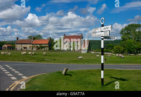 Il villaggio di Goathland Yorkshire Moors Foto Stock