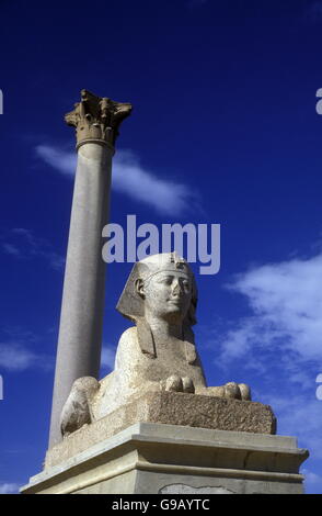 Il pilastro di Pompeo nel centro della città nella città di Alessandria sul Mediterraneo in Egitto in nord africa Foto Stock