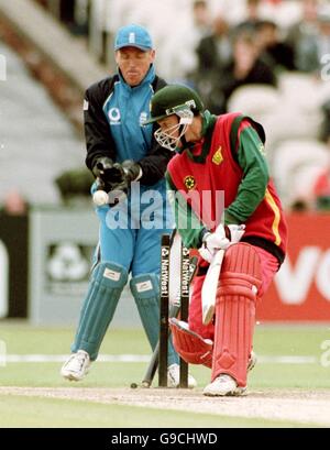 Cricket - Torneo triangolare NatWest Series - Inghilterra contro Zimbabwe. Murray Goodwin (r) dello Zimbabwe guarda per vedere che è stato bowled da Mark Ealham dell'Inghilterra Foto Stock