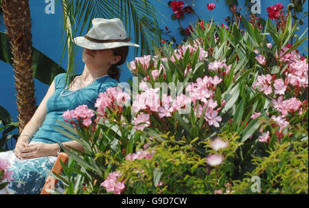 Un'espositore all'Hampton Court Flower Show, all'Hampton Court Palace in Surrey, si fermano dall'esibizione del suo stand prima dell'apertura di domani con l'aumento delle temperature. Foto Stock