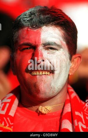 Calcio - Euro 2000 - Gruppo B - Svezia / Turchia. Ventilatore tacchino Foto Stock